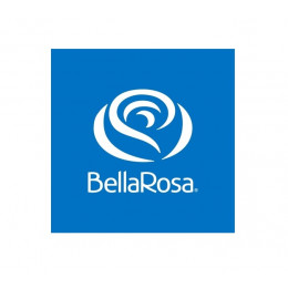 BellaRosa & Roseconnection