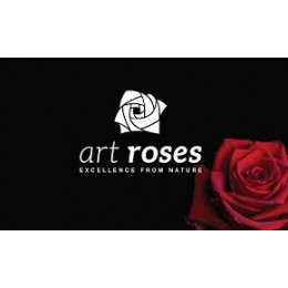 Art roses