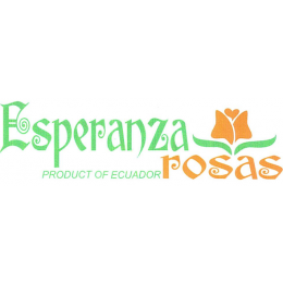 Esperanza Rosas