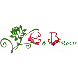 EYB roses