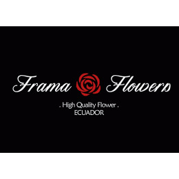 Frama Flowers