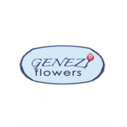 Genezi Flowers