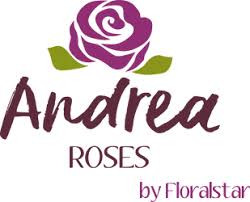 Andrea roses