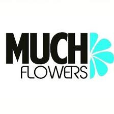 Much Flowers