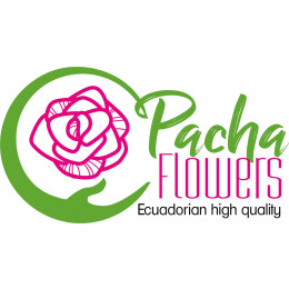 Pacha flowers
