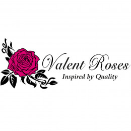 Valent roses