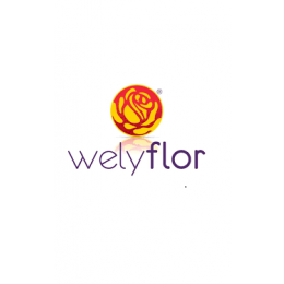 Welyflor
